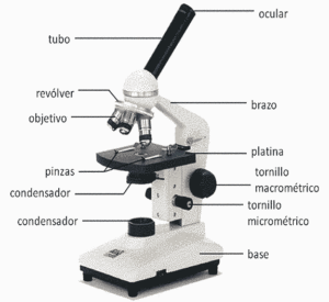 partes-microscopio
